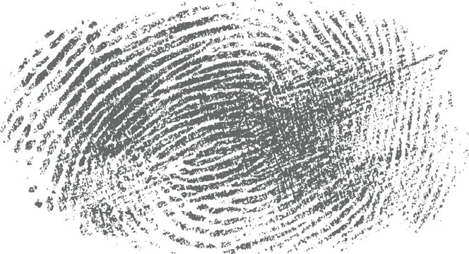 Textured gray fingerprint pattern on white background