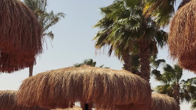 Intimate Shot Capturing Textured Straw Edge Of Beach Canopy Swaying Gently In Breeze
