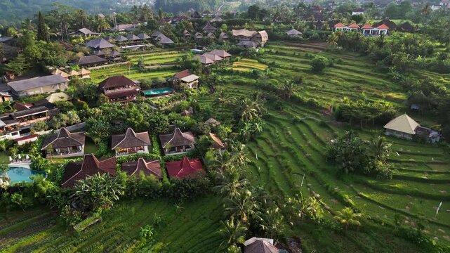 Eco stay in Bali with sustainable accommodation and wooden houses set among rice fields and lush tropical greenery with soft morning haze wide angle drone view