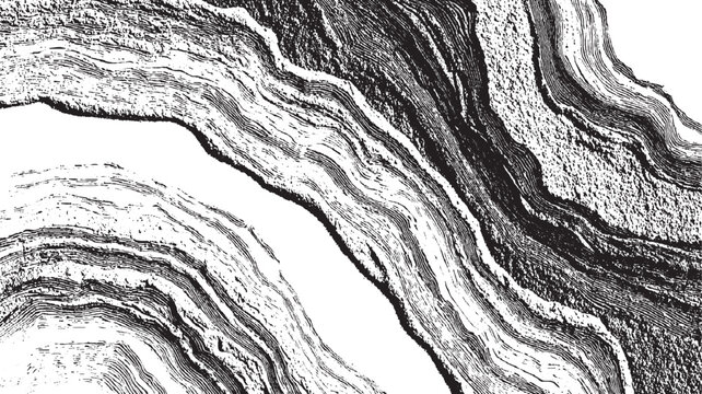 Black and white abstract depiction of layered geological strata or wood grain texture pattern