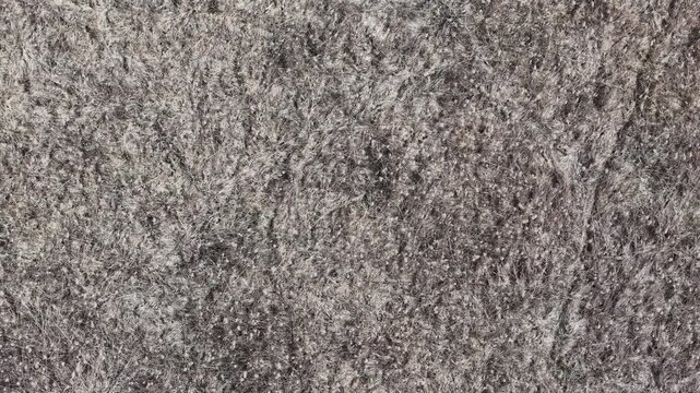 A close-up shows the intricate texture of dense, grey fibrous material, suitable as a versatile background for design projects.