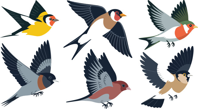 Flying songbird icon set with colorful finches and swallows