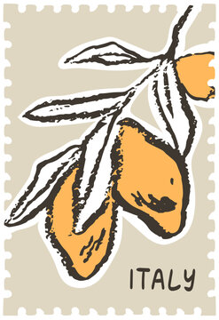 Wax crayon or ink drawn doodle sketch lemons. Hand drawn colored citrus illustration for poster, placard post stamp template. Doodle sketch sicily or amalfi lemons on branch in chalk or charcoal style