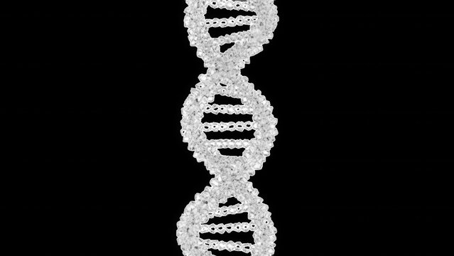 White translucent dna double helix structure, 3 d render isolated on a transparent background
