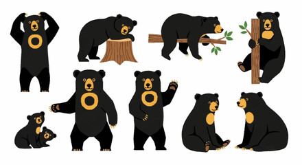 Obraz premium Black bear various poses.