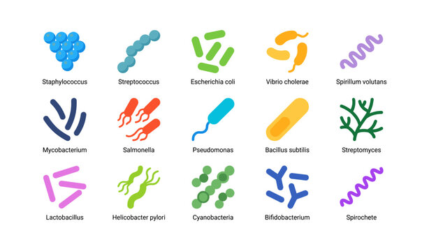 Bacteria and microbe icons showing microbial shapes on white