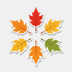 Fototapeta premium Autumn Leaves Arrangement