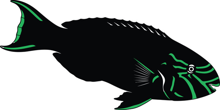 Vintage illustration of a black fish with green accents