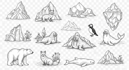 Collection of Arctic animals and icy landscapes hand-drawn sketches. © gabreil
