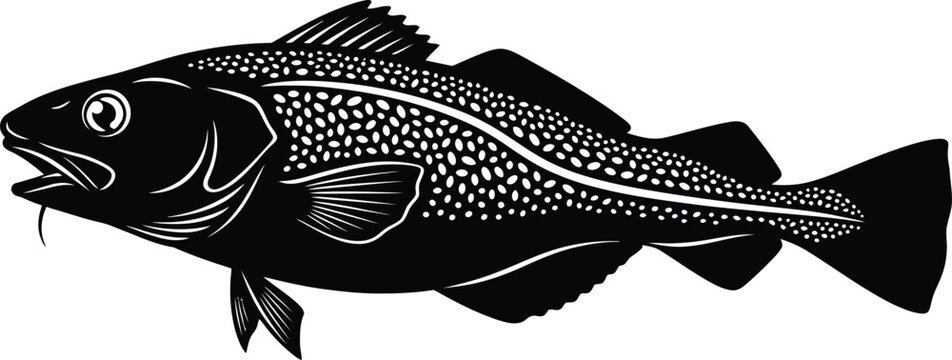 Vintage black and white illustration of a rockfish or sebastes fish