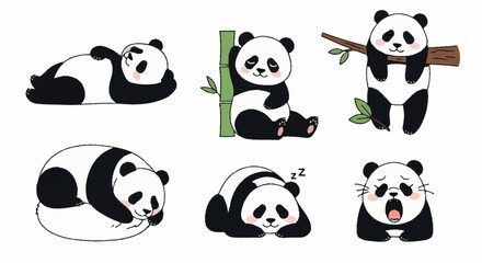 Fototapeta premium Panda Bears in Various Poses 1.