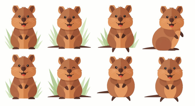 Quokka Smiling Face Animals.