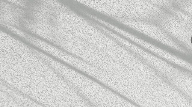 Shadows of palm fronds across sunlit sandy beach creating a tranquil coastal scene.