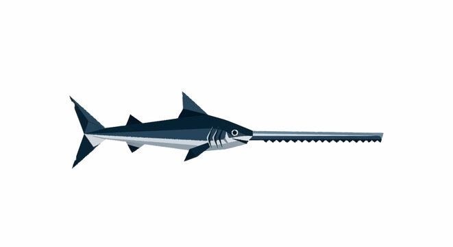 Sawfish Swimming in Ocean Water.