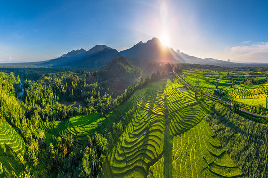 Beautiful morning view in Indonesia, panoramic landscape of rice fields with mountain ranges and clear sky