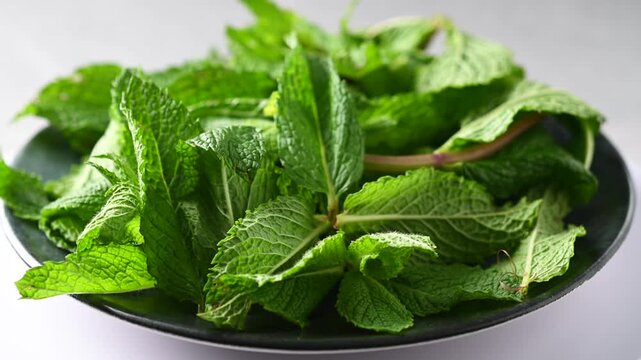 Fresh mint leaves rotating on black background, aromatic herb concept