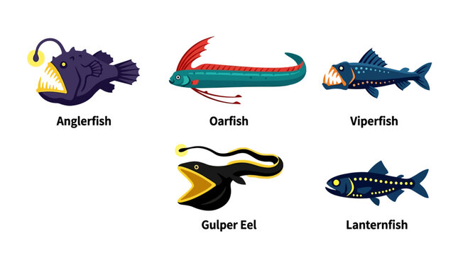 Deep Sea Bioluminescent Abyss Fish Species Collection