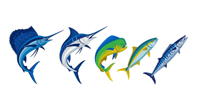 High Speed Pelagic Game Fish Dynamic Vector Graphics