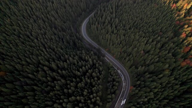 Aerial view of S-shaped mountain road in forest valley
