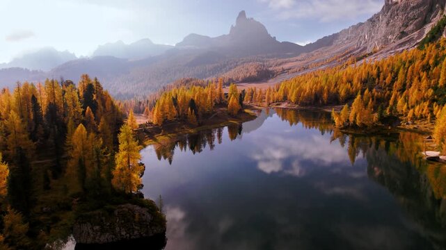 Golden larch forest on the lake shore of Lago Federa in the Dolomites, Italy