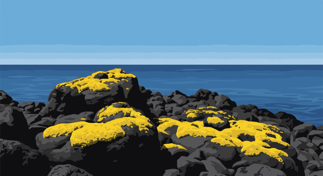 Rocky shore with yellow lichen and blue ocean under a clear sky