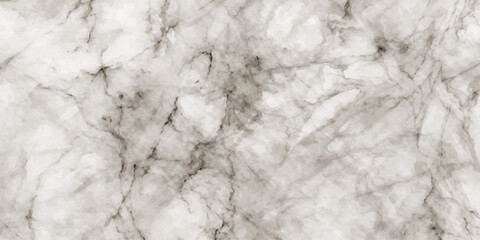 A detailed white fur texture background featuring a soft natural pattern with a clean snow-like material surface for a blank wallpaper design © RD Visuals