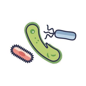 Various types of bacteria cells including rod shaped and flagellated microbes in biology.