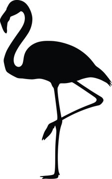 Elegant flamingo silhouette a minimalist black and white bird illustration