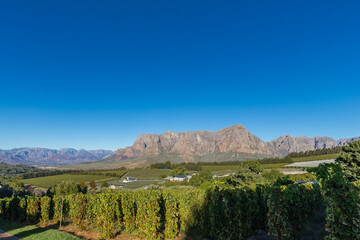 Fototapeta premium Amazing early sunset seen from the famous vineyards of the Delaire Graff estate of the Stellenbosch region, a city close to Cape Town. With winelands as far as you can see against a spectacular backdr