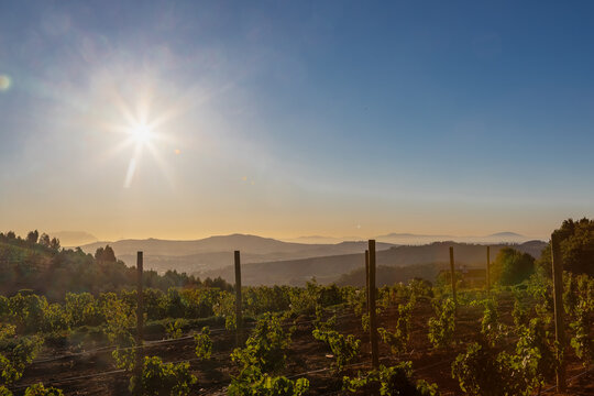 Amazing early sunset seen from the famous vineyards of the Delaire Graff estate of the Stellenbosch region, a city close to Cape Town. With winelands as far as you can see against a spectacular backdr