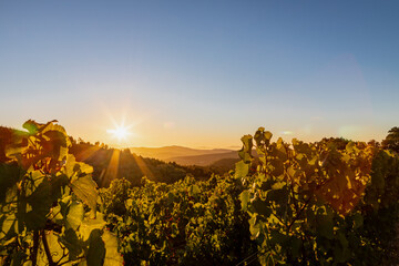 Fototapeta premium Amazing early sunset seen from the famous vineyards of the Delaire Graff estate of the Stellenbosch region, a city close to Cape Town. With winelands as far as you can see against a spectacular backdr