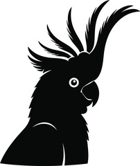 Black cockatoo silhouette a striking bird portrait in dark contrast © MstAptera