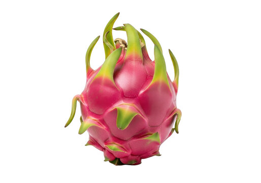 Vibrant pink dragon fruit with spiky green leaves