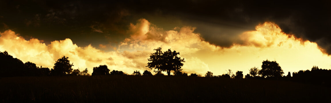 Silhouettes of trees on the horizon against a very dramatic golden high contrast sky. Rural panoramic dark moody landscape.
