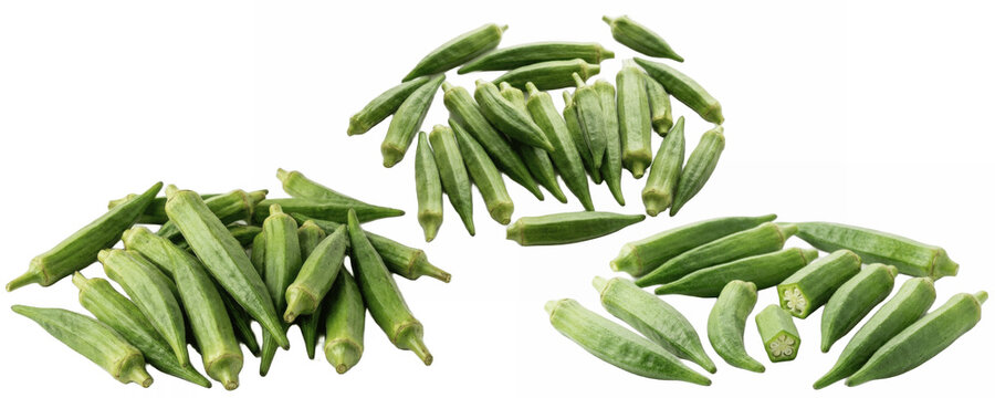 set of fresh okra lady finger vegetables isolated png on white background for curry, bhindi fry, stew, gumbo and spicy kitchen design


