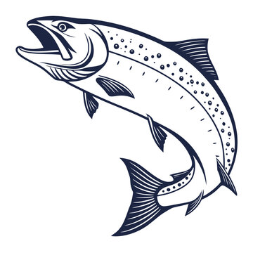 Jumping salmon fish illustration detailed outline sport fishing black and whi