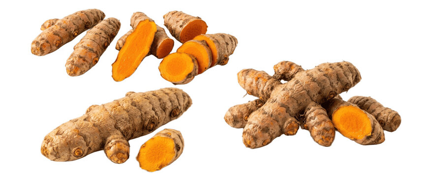 set of fresh turmeric root rhizomes whole and sliced isolated png on white background for spice blends, tea, curry and herbal design

