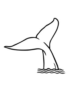 Baleine