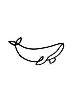 Baleine