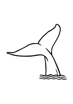 QueuedeBaleine
