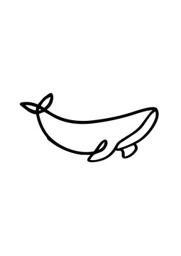 Baleine