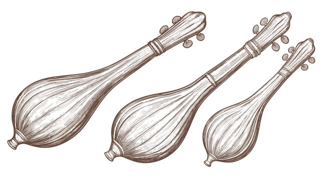 Artistic depiction of three long-necked stringed instruments arranged diagonally. In monochrome tones