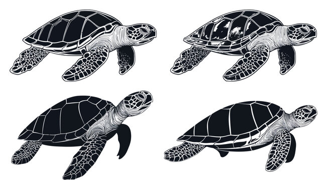 Four black and white illustrations of sea turtles, in various poses, swimming with flippers
