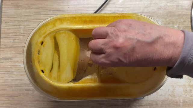 Steaming chicken fillet with garlic close-up of woman checking double boiler, fresh meat arranged on silicone tray, minced garlic