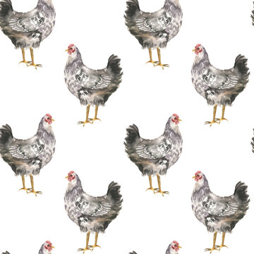 Domestic colored hens watercolor seamless pattern. Hand drawn farm poultry animals background, yarn birds clipart for rustic textile, fabric,organic product packing design