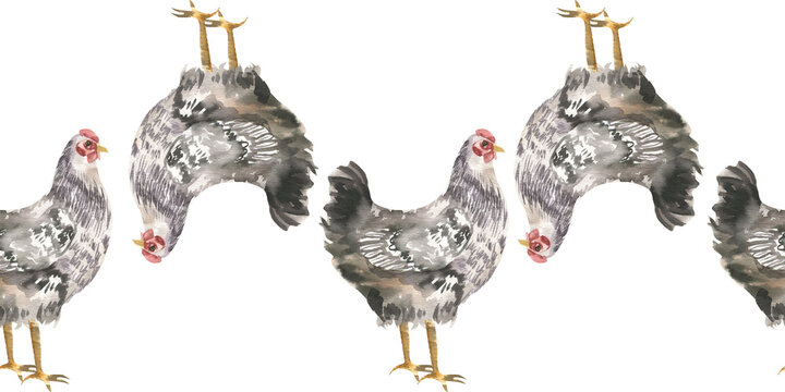 Farm spotted hen watercolor seamless border. Hand drawn isolated domestic poultry animal banner with birds clipart. Drawing for farm organic product packing, wallpaper, yarn textile, fabric design