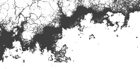 Obraz premium Black and White Grunge Vector Texture with Distressed Cracked Pattern and Ink Splatters for Graphic Design Background