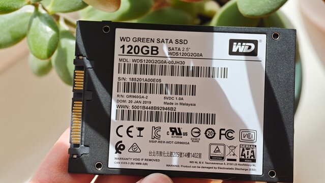Sosnoviy Bor, Russia - April 28, 2026: WD Green SATA SSD 120GB storage device held in hand with a plant in the background, showcasing product details and specifications