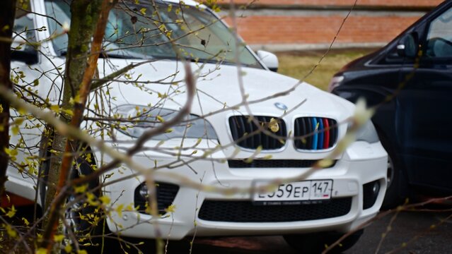 Sosnoviy Bor, Russia - April 25, 2026: White BMW X5 SUV partially obscured by branches in a parking area with another vehicle visible in the background
