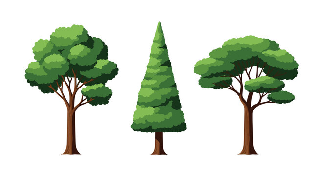 Set of three green trees including one pointed evergreen and two rounded deciduous trees isolated on a white background for landscape.